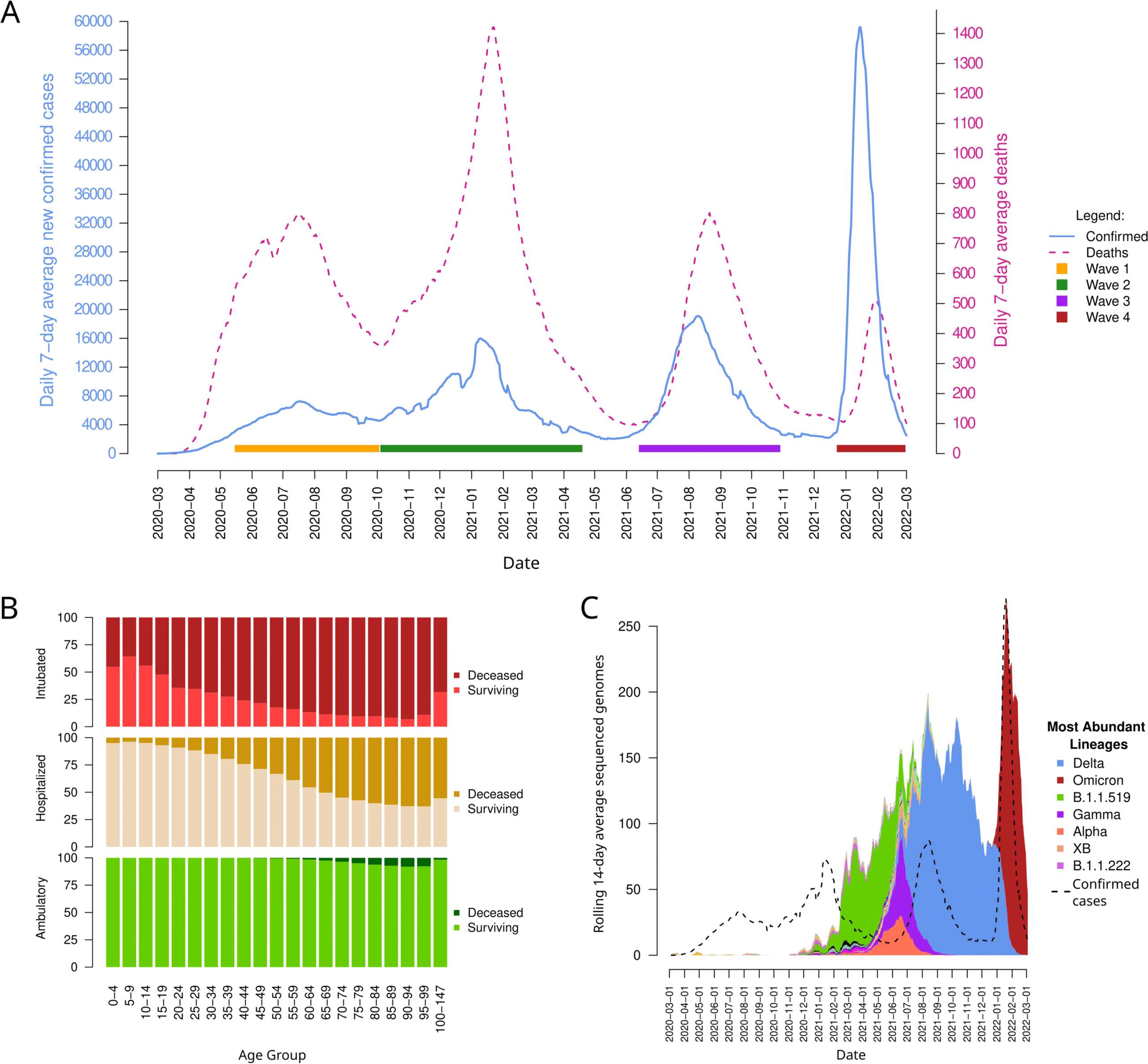 Lee más sobre el artículo The New SARS-CoV-2 Variants and Their Epidemiological Impact in Mexico
