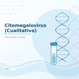Citomegalovirus (Cualitativo)