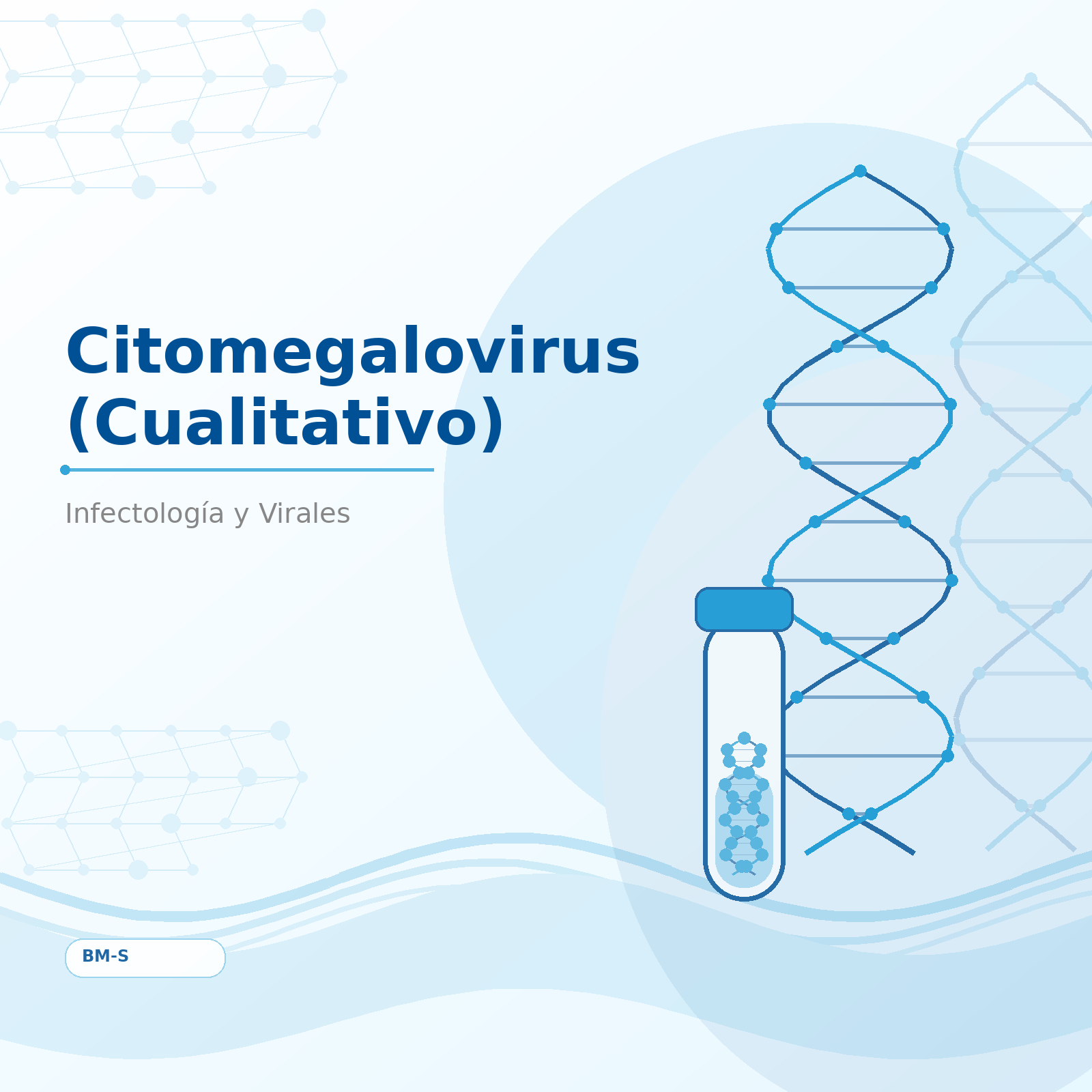 Citomegalovirus (Cualitativo)
