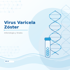 Virus Varicela Zóster