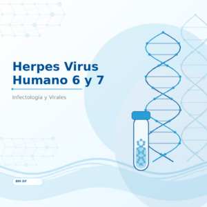 Herpes Virus Humano 6 y 7