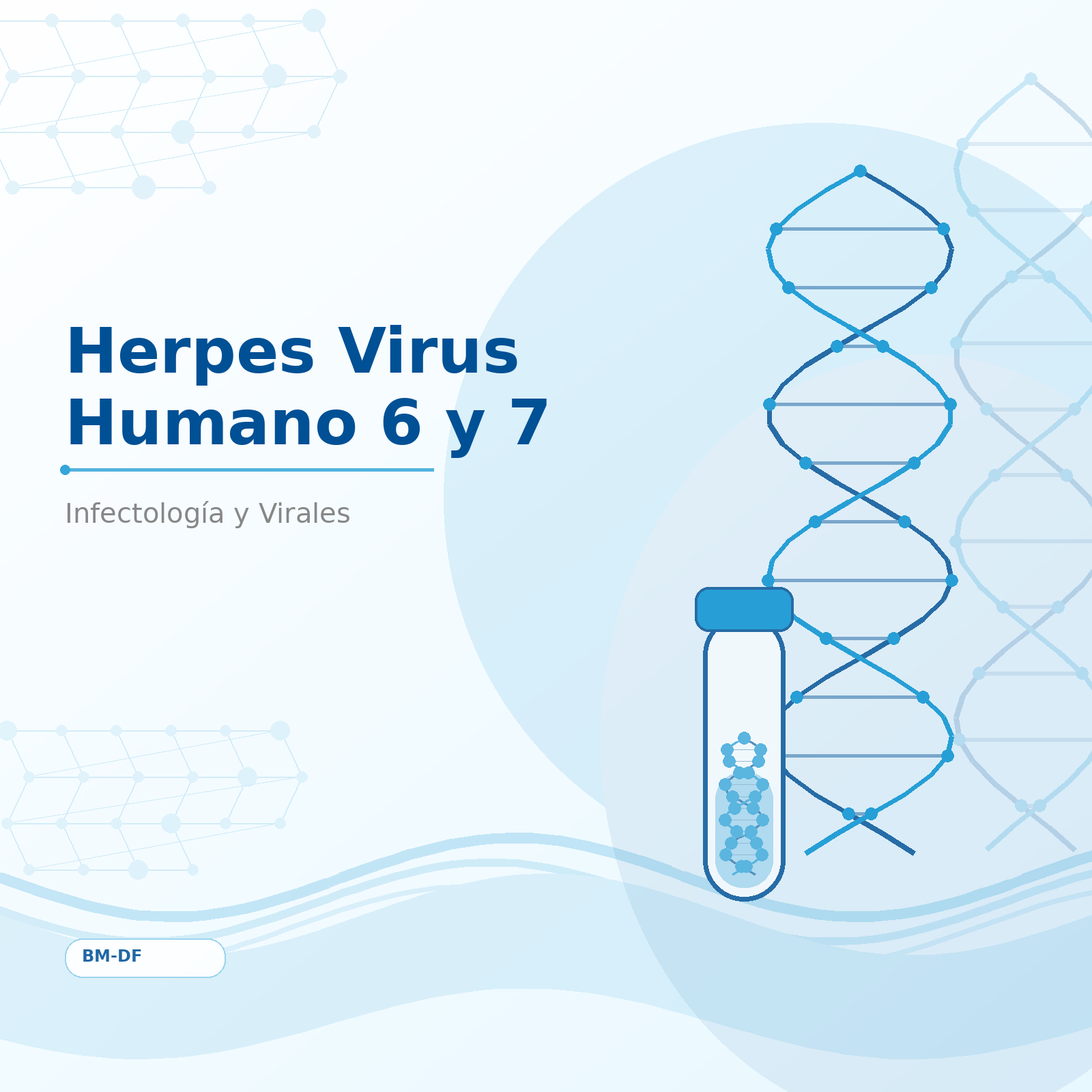 Herpes Virus Humano 6 y 7