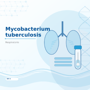 Mycobacterium tuberculosis