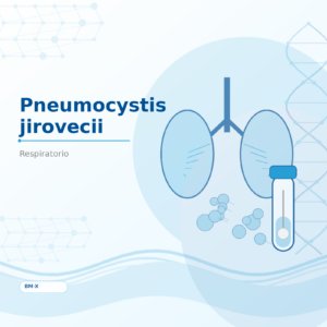 Pneumocystis jirovecii