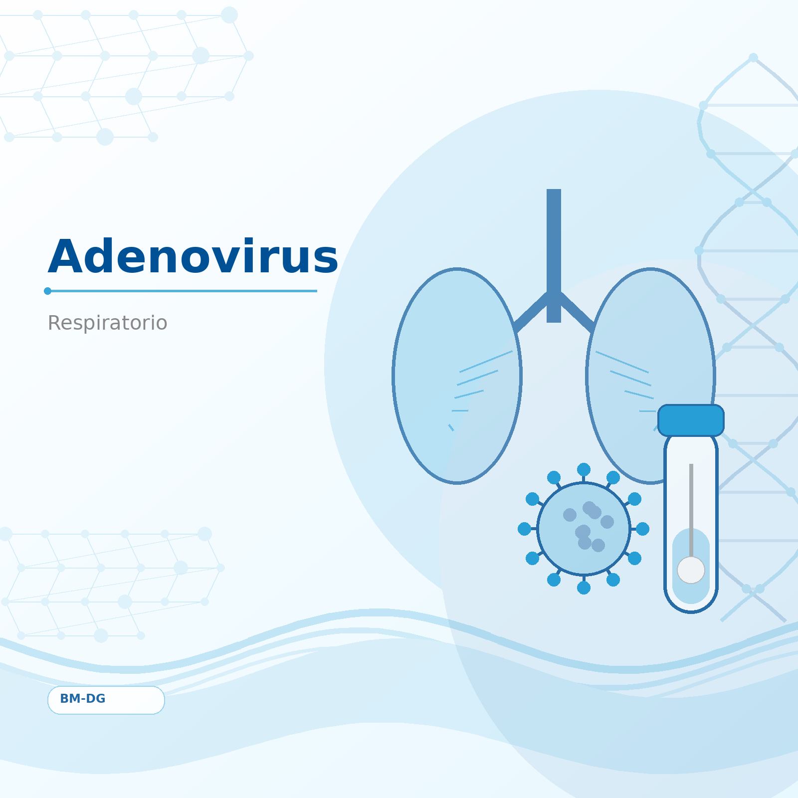 Adenovirus