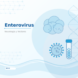 Enterovirus