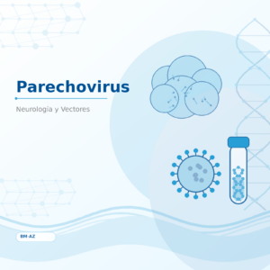 Parechovirus